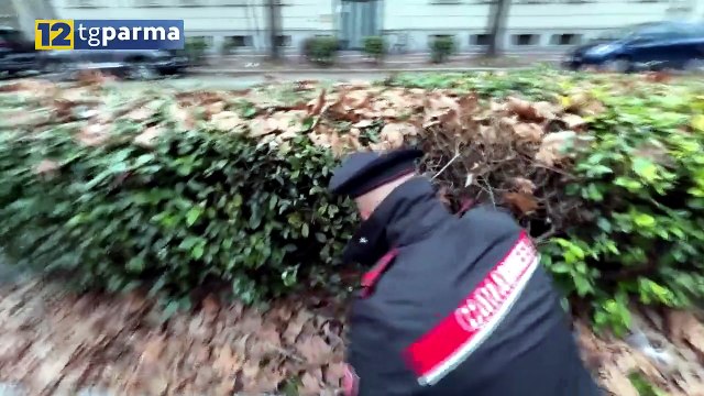 BLITZ ANTIDROGA TRA VIALE VITTORIA E VIA DEI MILLE: DUE ARRESTATI | BLITZ ANTIDROGA TRA VIALE VITTORIA E VIA DEI MILLE: DUE ARRESTATI