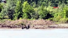 Kelkit Çayı'nda Kayıp 2 Genci Arama Çalışmalarına Samsun AFAD da Destek Veriyor