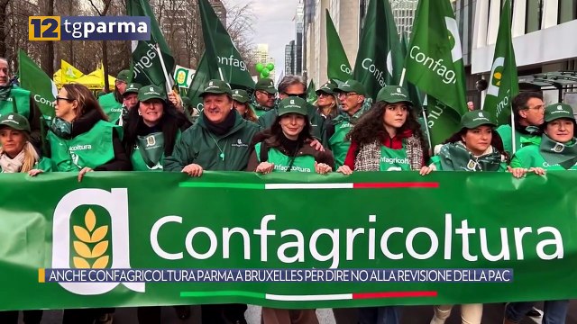 ANCHE CONFAGRICOLTURA PARMA A BRUXELLES PER DIRE NO ALLA REVISIONE DELLA PAC | ANCHE CONFAGRICOLTURA PARMA A BRUXELLES PER DIRE NO ALLA REVISIONE DELLA PAC