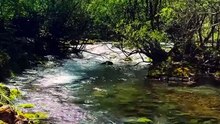 Cascada🥰