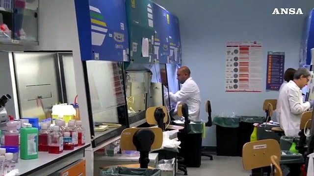 La scoperta dell'Ircc di Candiolo: il tumore resiste alle terapie come i batteri agli antibiotici