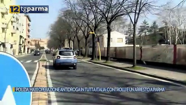 POLIZIA, MAXI OPERAZIONE ANTIDROGA IN TUTTA ITALIA: CONTROLLI E UN ARRESTO A PARMA | POLIZIA, MAXI OPERAZIONE ANTIDROGA IN TUTTA ITALIA: CONTROLLI E UN ARRESTO A PARMA