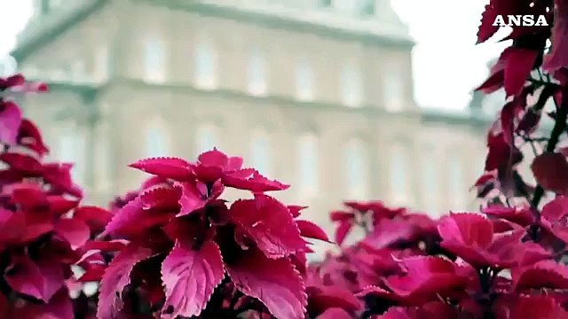 Torino: scarpette rosse al Gran Ballo delle debuttanti alla Venaria Reale