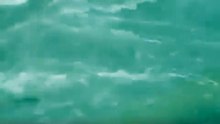 Lluvias históricas inundan Mérida en cuestión de tres horas