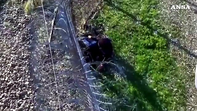 Ungheria, la polizia controlla il confine con la Serbia
