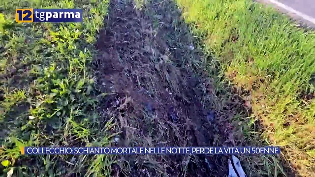 COLLECCHIO: SCHIANTO MORTALE NELLE NOTTE, PERDE LA VITA UN 50ENNE | COLLECCHIO: SCHIANTO MORTALE NELLE NOTTE, PERDE LA VITA UN 50ENNE