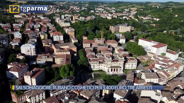 SALSOMAGGIORE: RUBANO COSMETICI PER 3.400 EURO, TRE ARRESTI | SALSOMAGGIORE: RUBANO COSMETICI PER 3.400 EURO, TRE ARRESTI