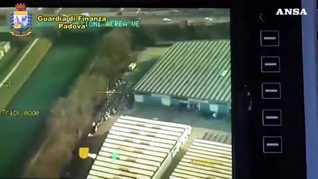 Peste suina, Guardia di Finanza sequestra 10 tonnellate di carne cinese