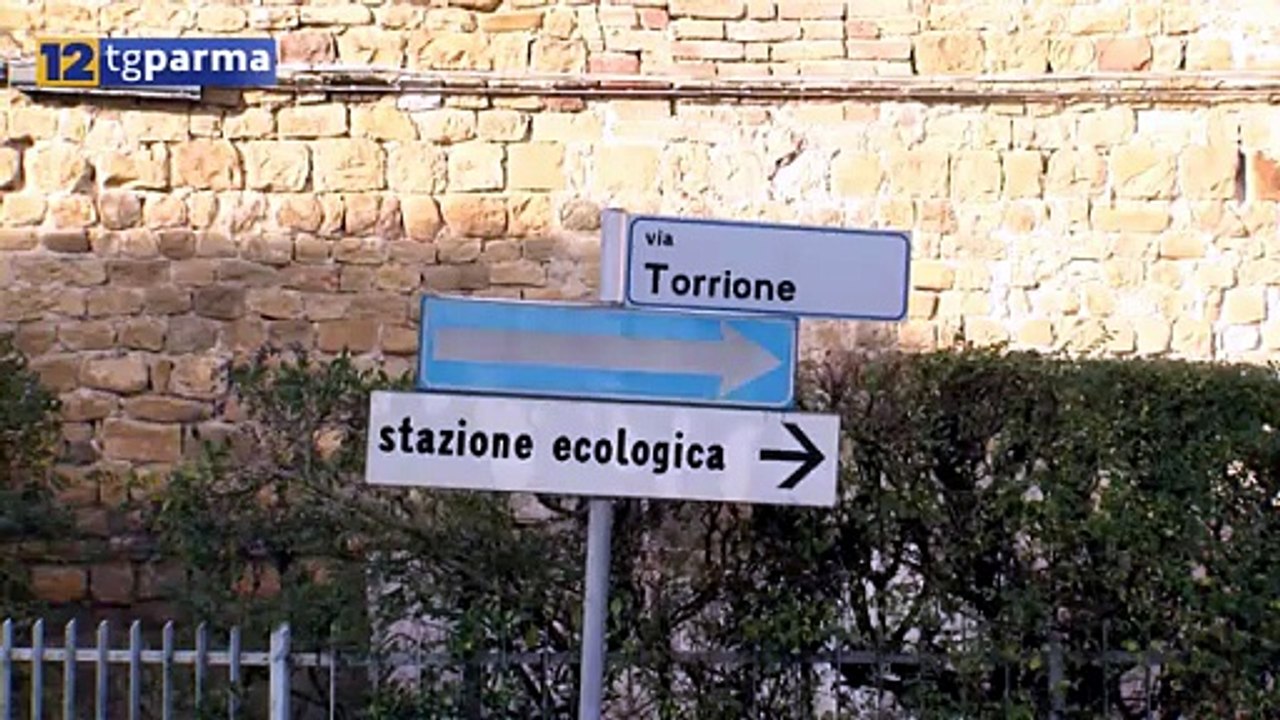 frontale a felino