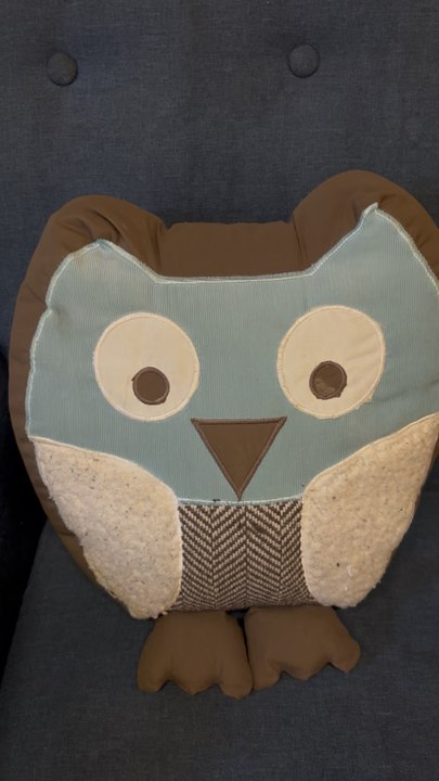 Hoo Hoo the owl!