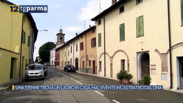 UNA 37ENNE TROVA UN LADRO IN CASA, MALVIVENTE INCASTRATRO DAL DNA | UNA 37ENNE TROVA UN LADRO IN CASA, MALVIVENTE INCASTRATRO DAL DNA