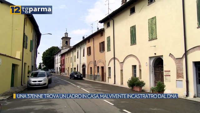 UNA 37ENNE TROVA UN LADRO IN CASA, MALVIVENTE INCASTRATRO DAL DNA | UNA 37ENNE TROVA UN LADRO IN CASA, MALVIVENTE INCASTRATRO DAL DNA