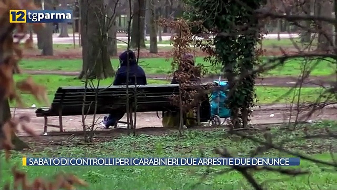 carabinieri antidroga
