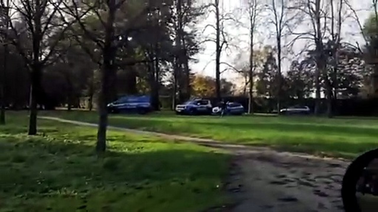 Controlli