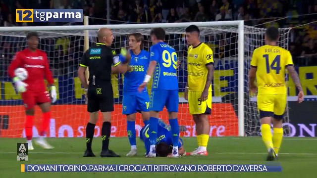 DOMANI TORINO-PARMA: I CROCIATI RITROVANO ROBERTO D'AVERSA | DOMANI TORINO-PARMA: I CROCIATI RITROVANO ROBERTO D'AVERSA