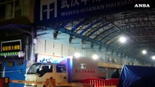 Virus Cina: e' un rebus l'origine dell'epidemia
