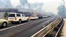Incendi in Australia, evacuata la costa sud-ovest