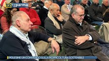 POLESINE: UN CONVENGO SULLA PIOPPICOLTURA SOSTENIBILE | POLESINE: UN CONVENGO SULLA PIOPPICOLTURA SOSTENIBILE