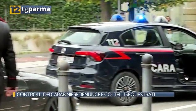 CONTROLLI DEI CARABINIERI: DENUNCE E COLTELLI SEQUESTRATI | CONTROLLI DEI CARABINIERI: DENUNCE E COLTELLI SEQUESTRATI