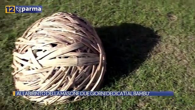 AL LABIRINTO DELLA MASONE DUE GIORNI DEDICATI AL BAMBU'
