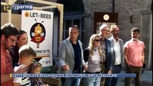 LET IT BEES: A FIDENZA NASCE IL BOSCO PER L'IMPOLLINAZIONE