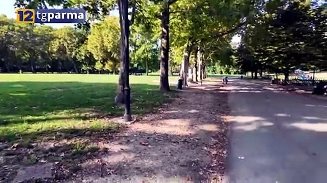 VERDE PUBBLICO A PARMA: 1.800 NUOVI ALBERI E 585 GIOCHI PER BAMBINI NEL 2025 | VERDE PUBBLICO A PARMA: 1.800 NUOVI ALBERI E 585 GIOCHI PER BAMBINI NEL 2025