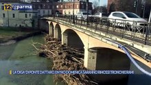 LA 'DIGA' DI PONTE DATTARO, ENTRO DOMENICA SARANNO RIMOSSI TRONCHI E RAMI