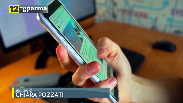TRUFFA ONLINE CON IL NOME DI UNA DITTA PARMIGIANA: 32ENNE DENUNCIATO | TRUFFA ONLINE CON IL NOME DI UNA DITTA PARMIGIANA: 32ENNE DENUNCIATO
