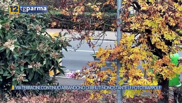 VIA TERRACINI, CONTINUO ABBANDONO DI RIFIUTI NONOSTANTE LE FOTOTRAPPOLE | VIA TERRACINI, CONTINUO ABBANDONO DI RIFIUTI NONOSTANTE LE FOTOTRAPPOLE