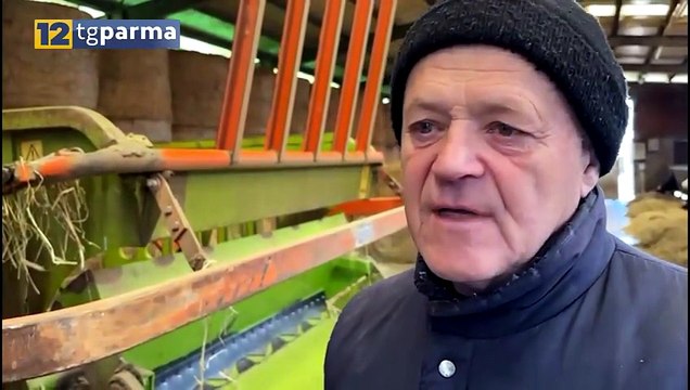 FURTO ALLA MAGNANI ROCCA, SPUNTA IL GIALLO DI UN TRATTORE RUBATO | FURTO ALLA MAGNANI ROCCA, SPUNTA IL GIALLO DI UN TRATTORE RUBATO