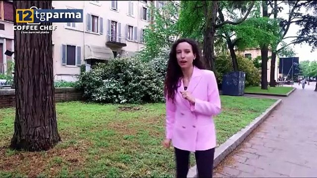 COFFEE CHEF , DA DOMANI ALLE 21 IL NUOVO PROGRAMMA DI 12 TV PARMA | COFFEE CHEF , DA DOMANI ALLE 21 IL NUOVO PROGRAMMA DI 12 TV PARMA