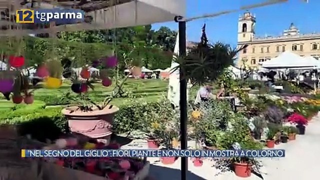 NEL SEGNO DEL GIGLIO : FIORI, PIANTE E NON SOLO IN MOSTRA A COLORNO | NEL SEGNO DEL GIGLIO : FIORI, PIANTE E NON SOLO IN MOSTRA A COLORNO