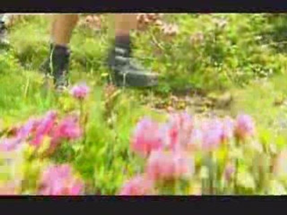 Valais Wallis - Mountain Berge Montagnes