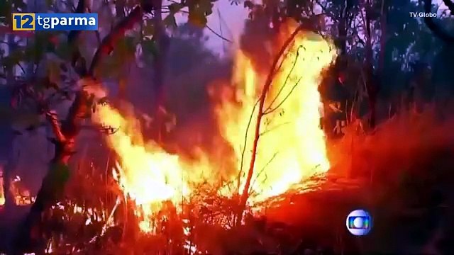 ROGHI AMAZZONIA: SINDACO LUCCHI DENUNCIA PRESIDENTE BRASILIANO BOLSONARO