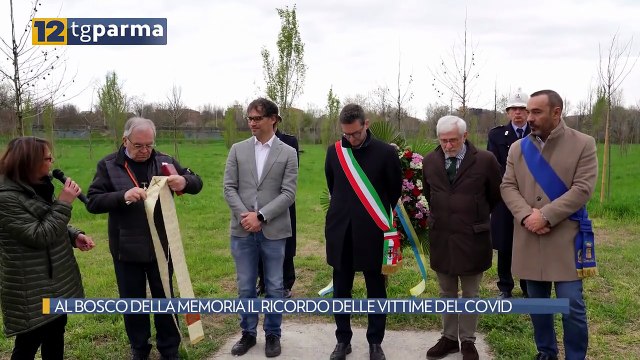 AL BOSCO DELLA MEMORIA IL RICORDO DELLE VITTIME DEL COVID | AL BOSCO DELLA MEMORIA IL RICORDO DELLE VITTIME DEL COVID