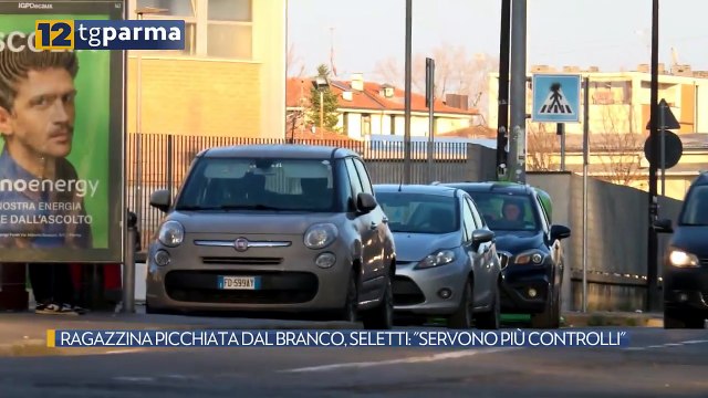 RAGAZZINA PICCHIATA DAL BRANCO, SELETTI: SERVONO PIÙ CONTROLLI | RAGAZZINA PICCHIATA DAL BRANCO, SELETTI: SERVONO PIÙ CONTROLLI