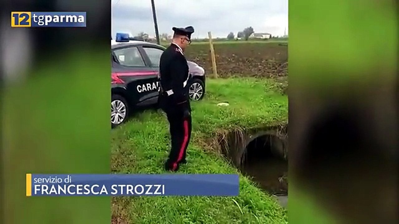 48 ENNE PARMIGIANA SCOMPARSA, TROVATA ALL'ALBA DAI CARABINIERI IN UN CANALE