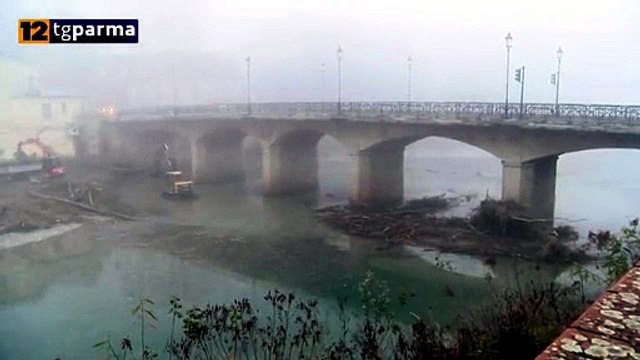 GRETO DELLA PARMA: PULIZIA SOTTO IL PONTE DATTARO