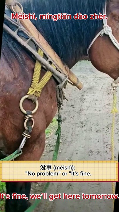 Checking the Harness: A Countryside Moment