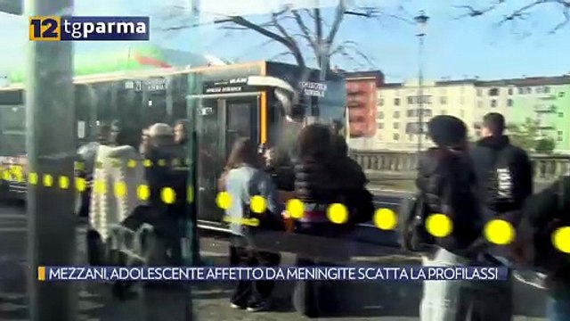 MEZZANI, ADOLESCENTE AFFETTO DA MENINGITE SCATTA LA PROFILASSI | MEZZANI, ADOLESCENTE AFFETTO DA MENINGITE SCATTA LA PROFILASSI