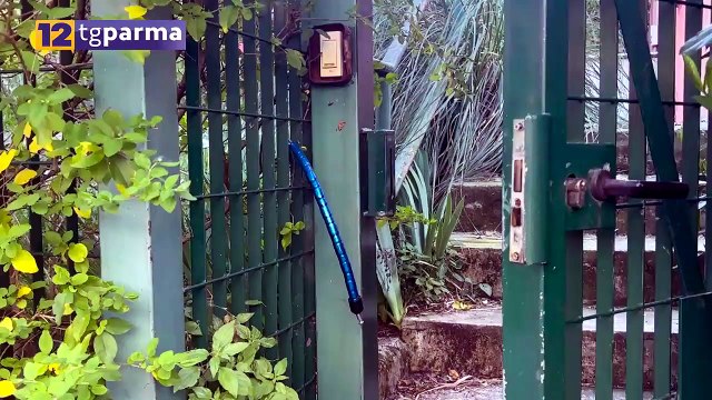 PISCINA FERRARI NEL DEGRADO, UBALDI: INTERVENIRE SUBITO | PISCINA FERRARI NEL DEGRADO, UBALDI: INTERVENIRE SUBITO