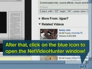 Download videos and music from any Youtube-like site