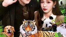 读懂动物心声后，我好运连连-00.00.00.000-01.04.23.972