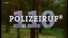 Polizeiruf 110 -287- Tod eines Fahnders