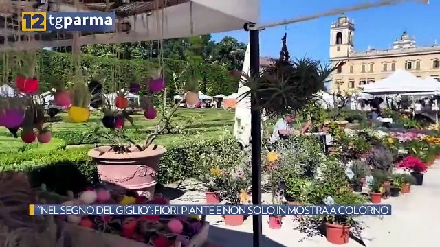 NEL SEGNO DEL GIGLIO : FIORI, PIANTE E NON SOLO IN MOSTRA A COLORNO | NEL SEGNO DEL GIGLIO : FIORI, PIANTE E NON SOLO IN MOSTRA A COLORNO