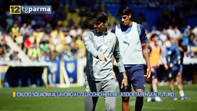 CALCIO, SQUADRA AL LAVORO A COLLECCHIO MENTRE LA SOCIETÀ PENSA AL FUTURO | CALCIO, SQUADRA AL LAVORO A COLLECCHIO MENTRE LA SOCIETÀ PENSA AL FUTURO