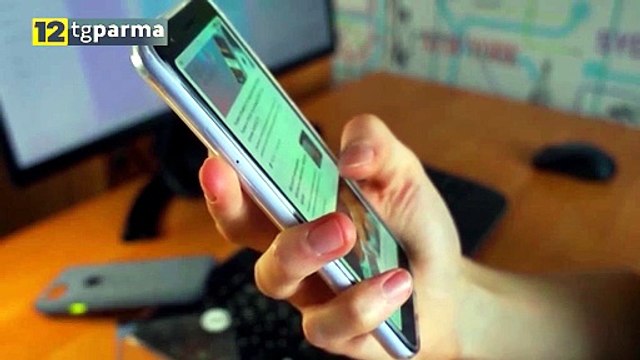 TRUFFA ONLINE CON IL NOME DI UNA DITTA PARMIGIANA: 32ENNE DENUNCIATO | TRUFFA ONLINE CON IL NOME DI UNA DITTA PARMIGIANA: 32ENNE DENUNCIATO