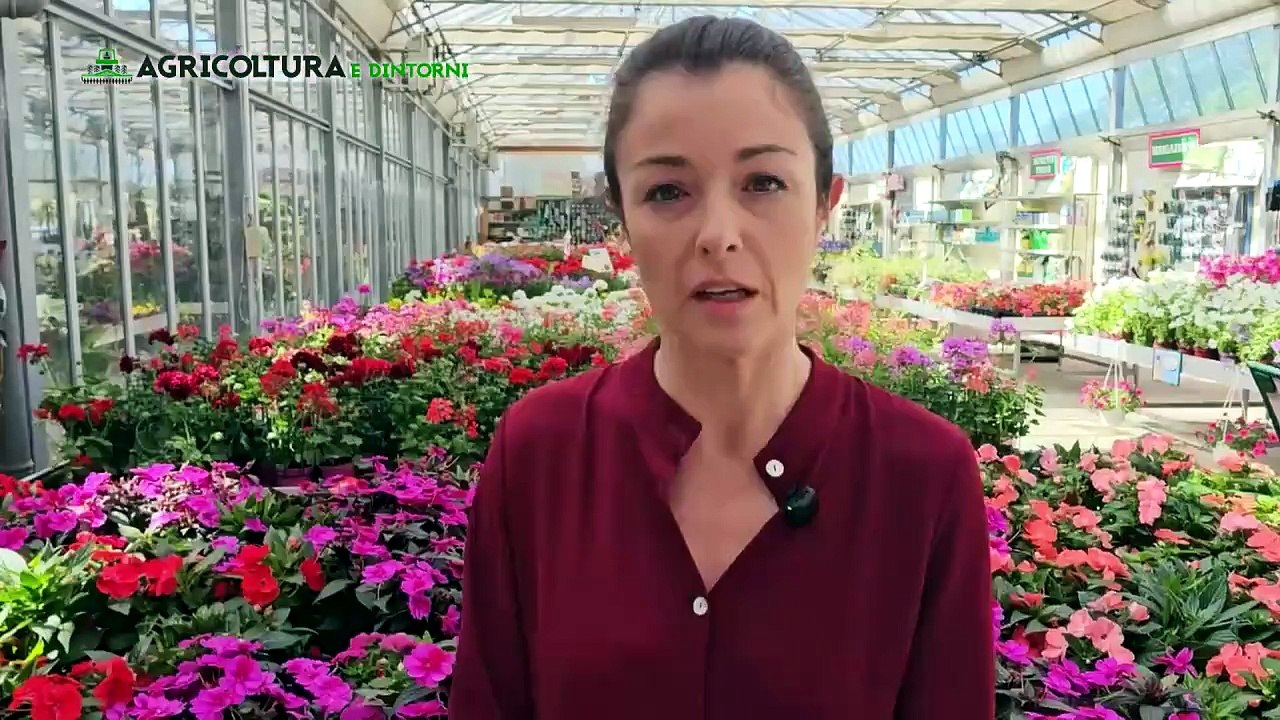 Agricoltura e dintorni 2026 - 6a puntata del 23-05-26 | Agricoltura e dintorni 2026 - 6a puntata del 23-05-26