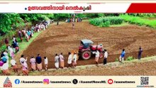 വയനാട്ടുകുലവൻ തെയ്യംകെട്ടിനായി കൃഷിയിറക്കി ക്ഷേത്രംഭാരവാഹികൾ; ഇത് കാസർകോടിന്റെ നല്ല മാതൃക