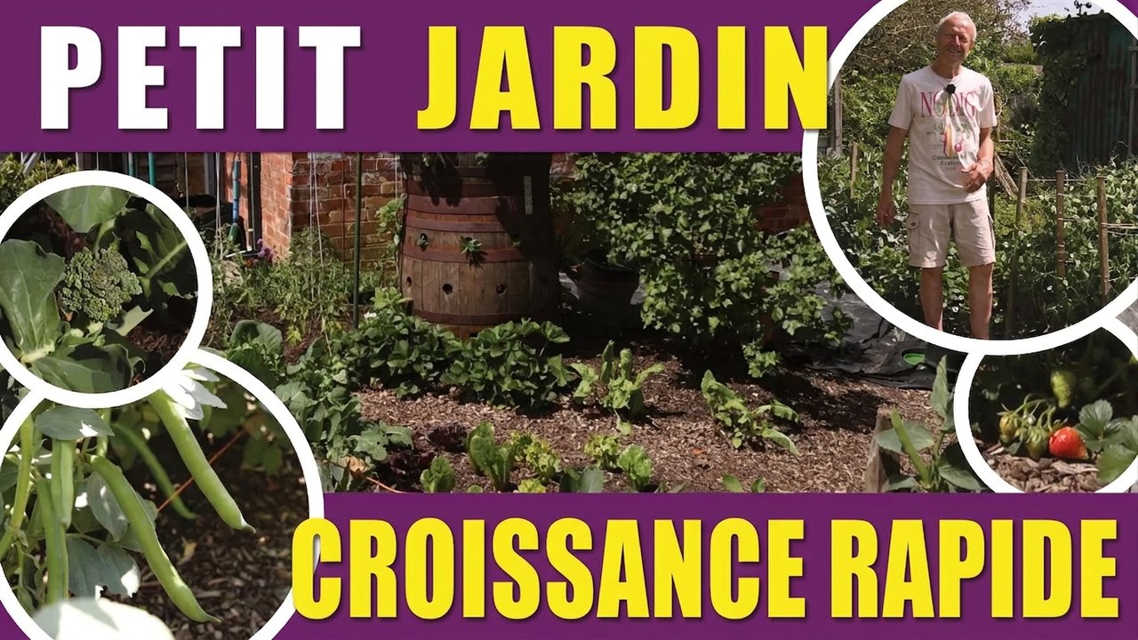 Petit jardin fin mai : en avance sur le calendrier !